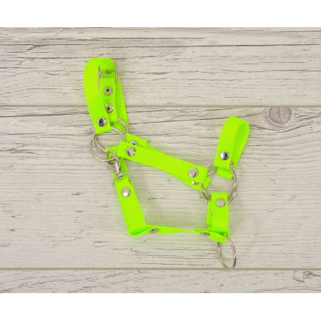 Die Verstellbare Halfter für Hobby Horse A3 - neon green