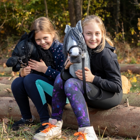 Hobby Horse Großes Pferd auf Stock  A3 - Grau