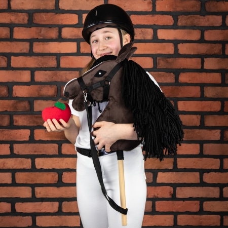 Hobby Horse Großes Pferd auf Stock mit Halfter und Zügel A3 - Braunes