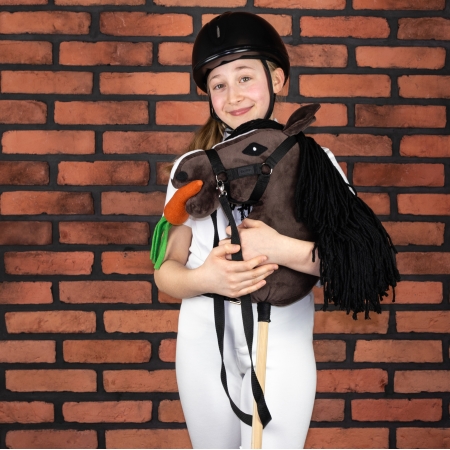 Hobby Horse Großes Pferd auf Stock mit Halfter und Zügel A3 - Braunes