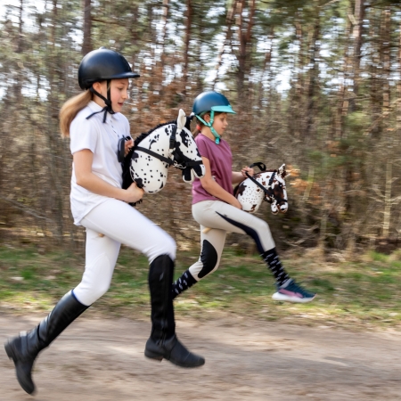 Hobby Horse Großes Pferd auf  Stock mit Halfter und Zügel A3 Karo - gescheckt