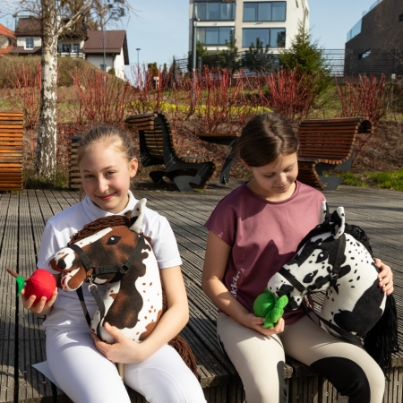 Hobby Horse Großes Pferd auf Stock  mit Halfter und Zügel A3 Braun - gescheckt