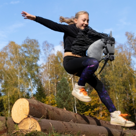 Hobby Horse Großes Pferd auf Stock  A3 - Grau